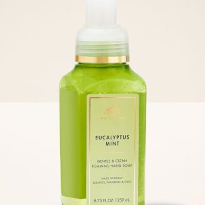 Eucalyptus Mint Gentle & Clean Foaming Hand Soap