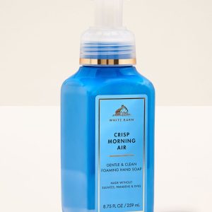 Crisp Morning Air Gentle & Clean Foaming Hand Soap