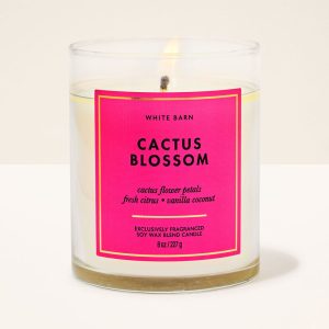 Cactus Blossom Single Wick Candle
