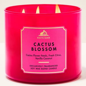 Cactus Blossom 3-Wick Candle