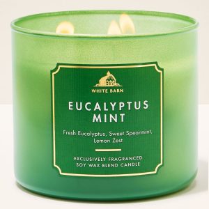 Eucalyptus Mint 3-Wick Candle