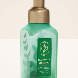 Eucalyptus Spearmint Gentle & Clean Foaming Hand Soap