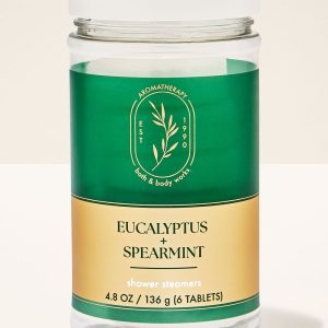 Eucalyptus Spearmint Shower Steamers