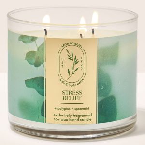 Eucalyptus Spearmint 3-Wick Candle