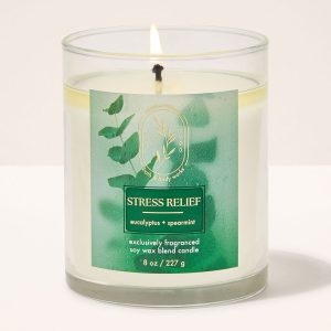 Eucalyptus Spearmint Single Wick Candle
