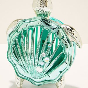 Shelly Turtle Car Fragrance Holder