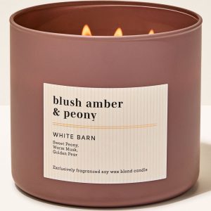 Blush Amber & Peony 3-Wick Candle