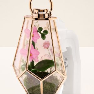 Orchid Terrarium Scent Control? Nightlight Wallflowers Fragrance Plug