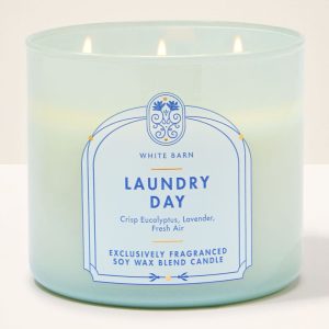 Laundry Day 3-Wick Candle