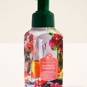 Raspberry Tangerine Gentle & Clean Foaming Hand Soap