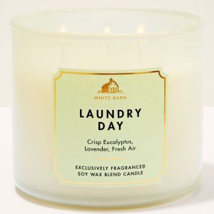 Laundry Day 3-Wick Candle