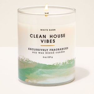 Clean House Vibes Single Wick Candle